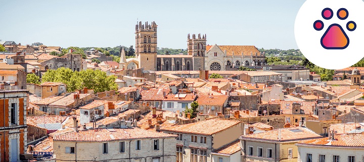 Garde d'animaux à Montpellier - Hopla ma nounou ma garde d'enfants mon