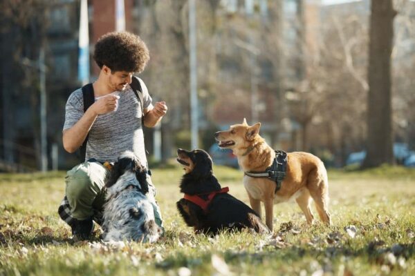 Cette image montre un pet-sitter qui garde des animaux