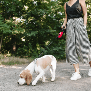 Cette photo montre un chien et son maitre en promenade.